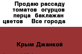 Продаю рассаду томатов, огурцов, перца, баклажан, цветов  - Все города  »    . Крым,Джанкой